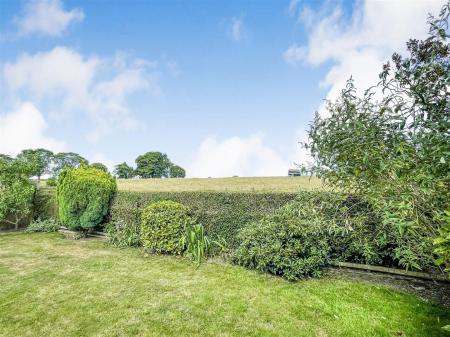 Garden and View