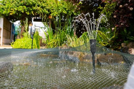 Gardens