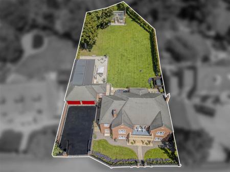 Denise White Estate Agents Comments
