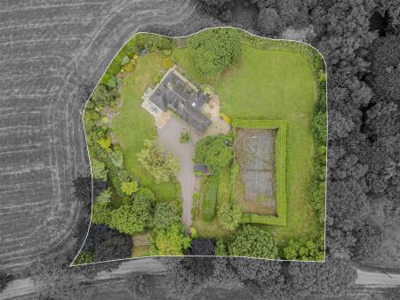 Two Trees Aerial View