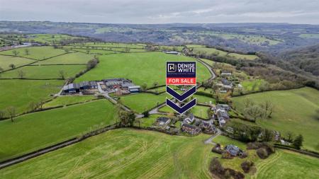 Location Location Location