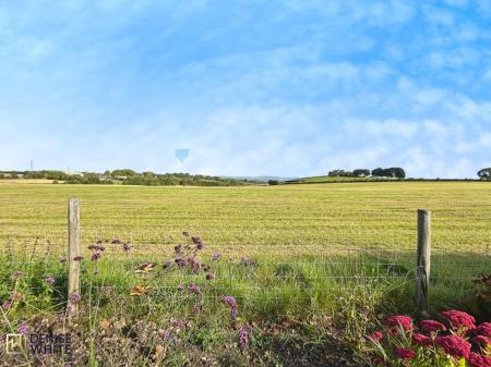 Denise White Estate Agents Comments