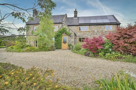 Denise White's Comments