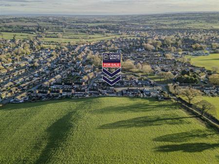 Denise White Estate Agents Comments