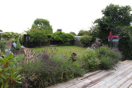 rear garden.JPG