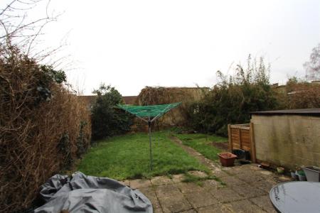 Back Garden.JPG