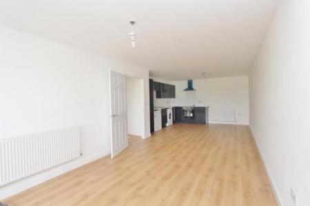 Open plan living kitchen.jpeg