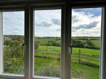 VIEW FROM WINDOW.jpg