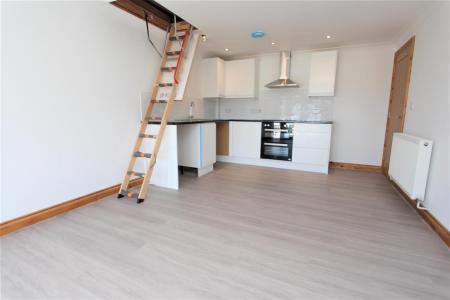 IMG_7688 - Livingroom ladder..jpg