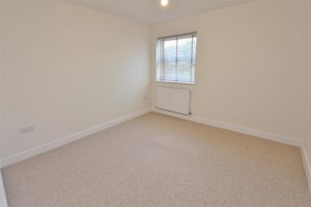 IMG_0273 (3500x2327).jpg