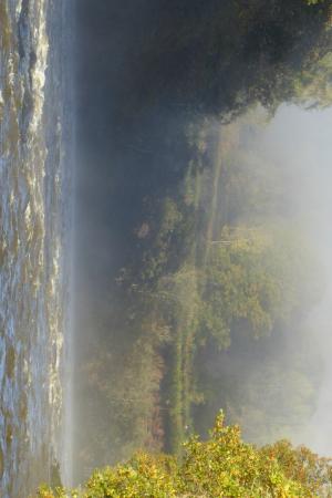 Autumn View