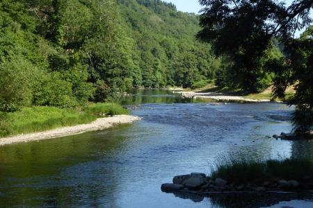 View Upstream from F