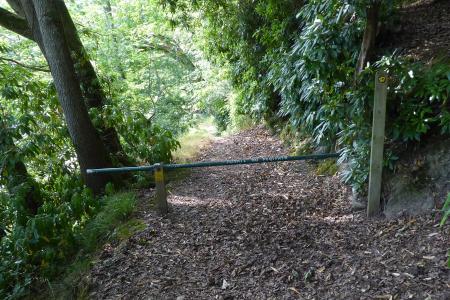 Nyth Woodland Path 2