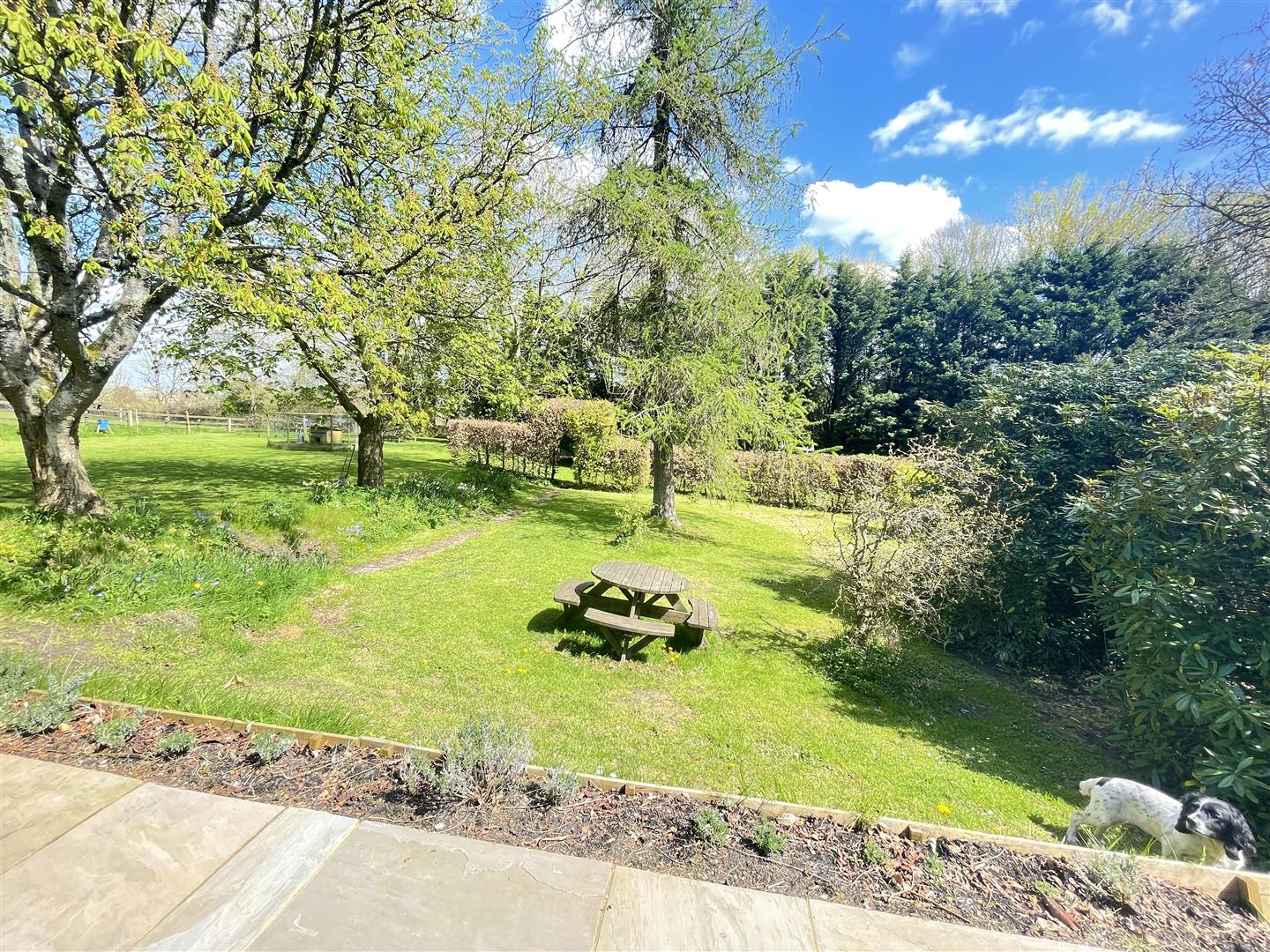 6 bedroom Detached House for rent in Warminster