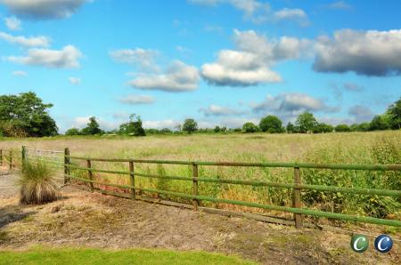 image24