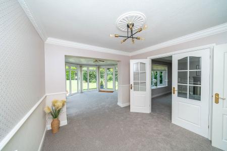 image11