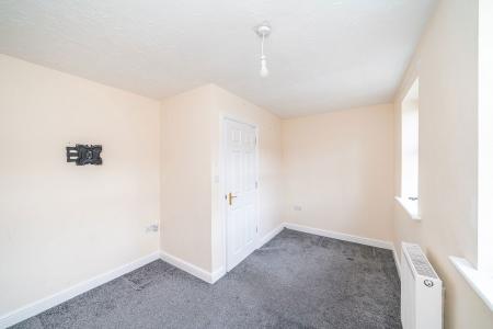 image12