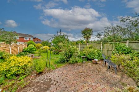 image25