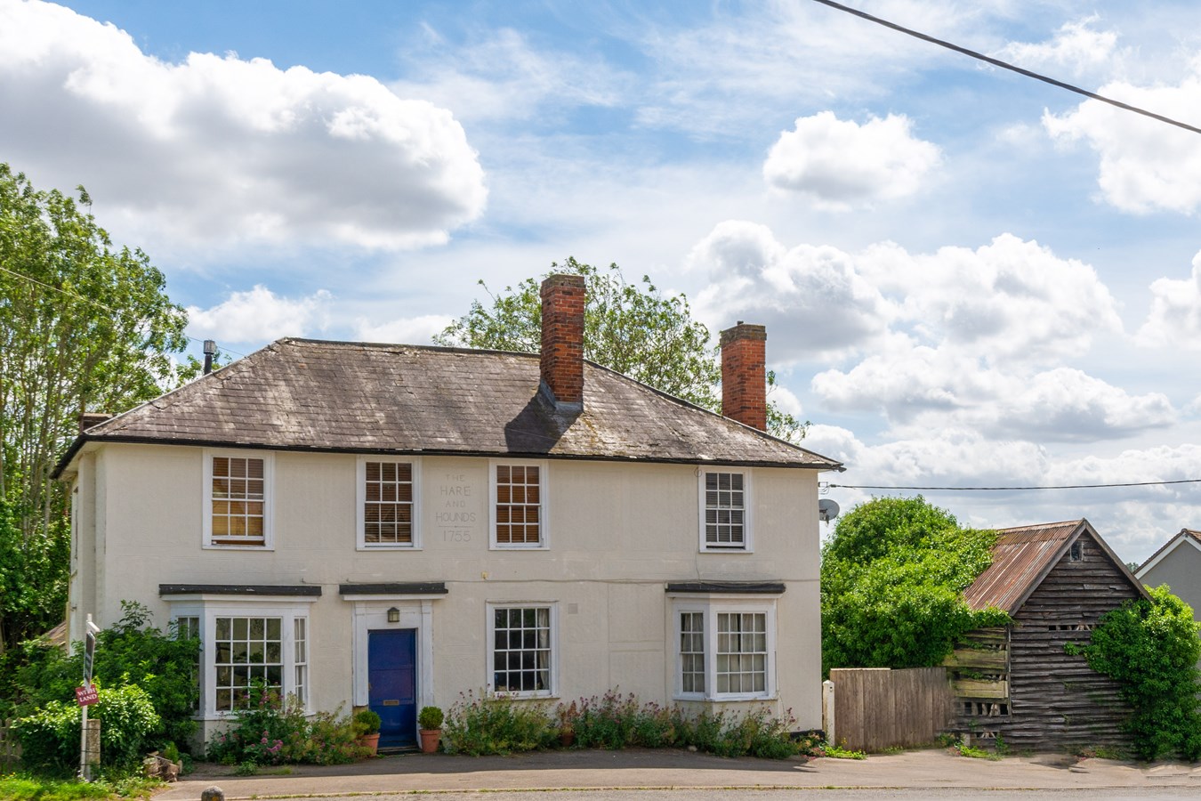 Hare hounds hot sale for sale