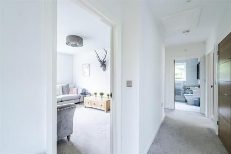 chase heights-172.jpg