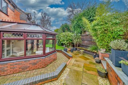 &copy;Webbs&copy; (42 of 72).jpg