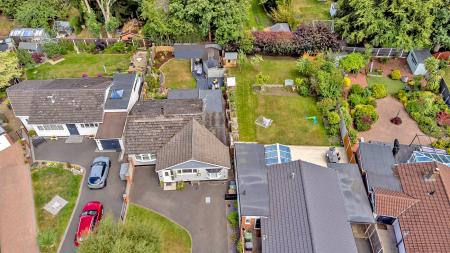 DJI_0155.JPG