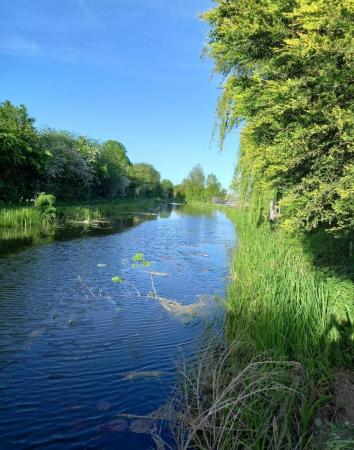 henley canal.jpg