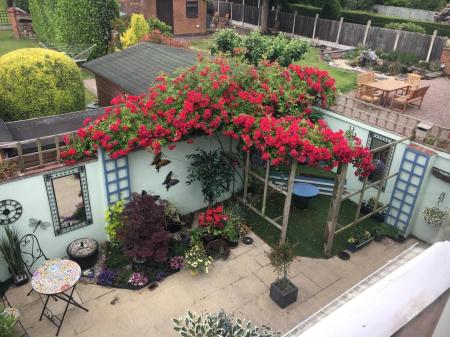 WhatsApp Image 2025-11-11 at 11.31.31.jpeg