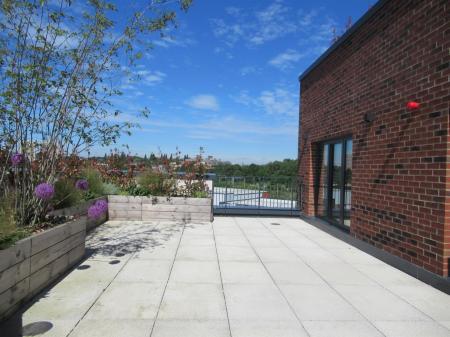 Exterior Terrace