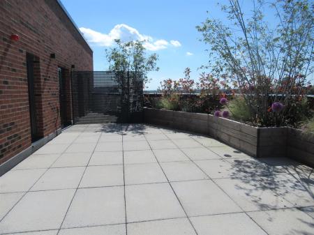 Exterior Terrace
