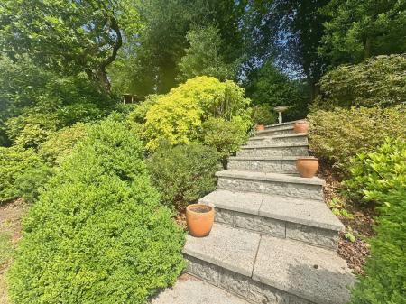 image11