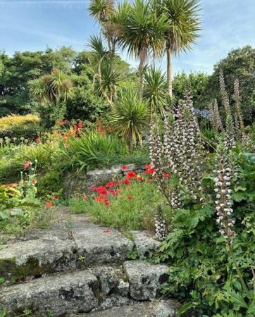 Garden.jpg