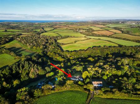 Pipers Green Drone-7a Arrow.jpg