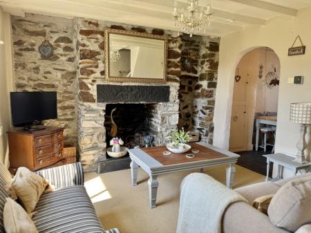Feature Fireplace