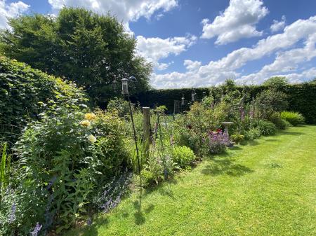 Vegetable Garden