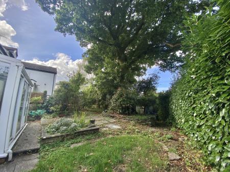 Garden with Mature Oak Tree