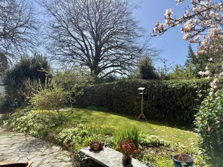 Sunny Front Garden