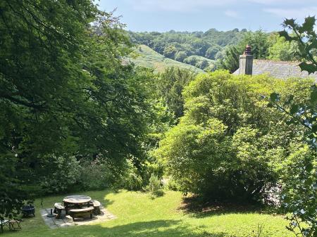 View from Top of Garden