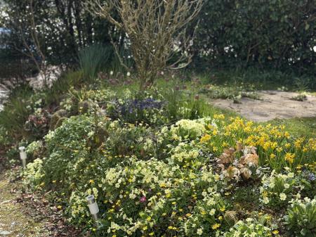 Colourful Borders
