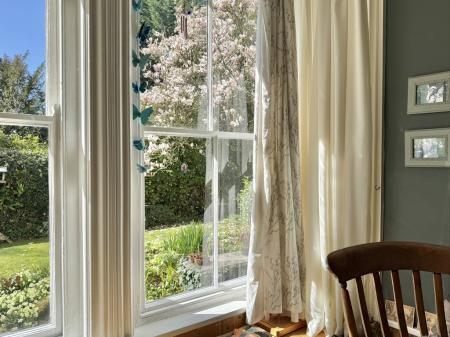 Bay Window