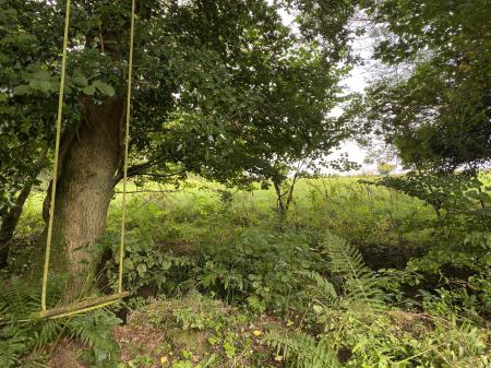 Rear Garden Backing on to Stream + Fields