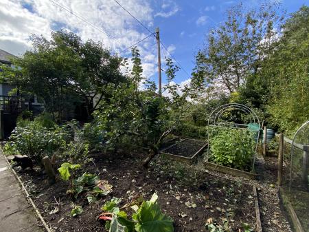 Vegetable Plots