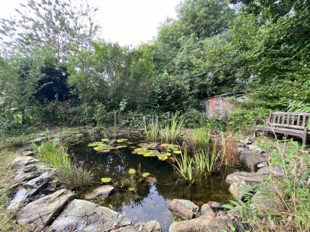 Wildlife Pond