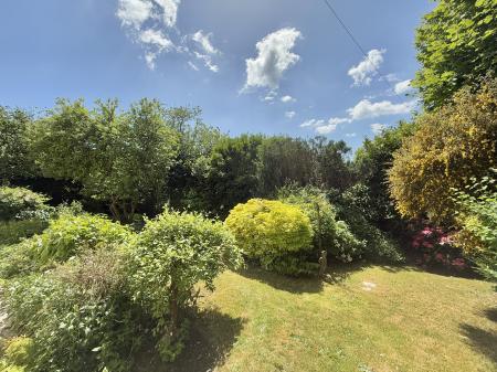 Sunny South-West Facing Garden