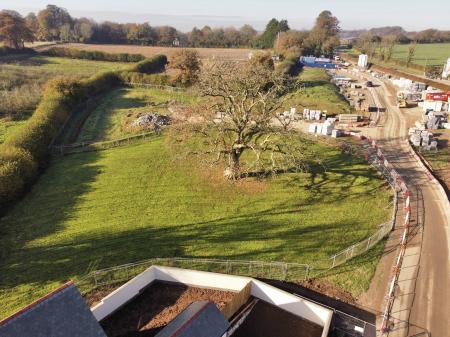 Garden Backing on to The Green