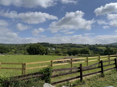 View from garden