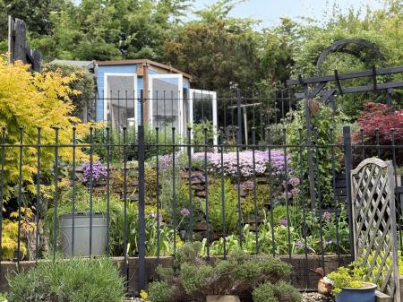 Beautiful Garden