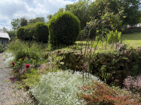 Colourful flower beds
