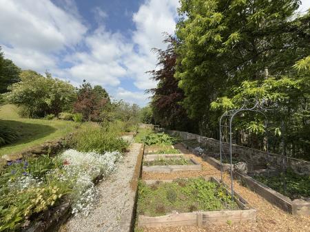 Large vegetable/cut flower garden
