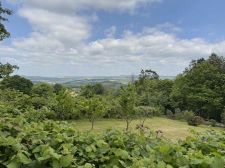 View from top of garden